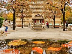 -北京石刻艺术博物馆(五塔寺)