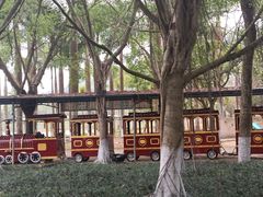 -南宁花花大世界景区