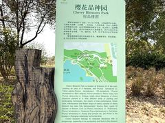 -自然谷恐龙园