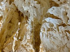 -怀托摩萤火虫洞