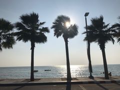 -乔木提恩海滩
