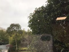 -苏州市立医院(白塔院区)