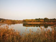 -东郊湿地公园