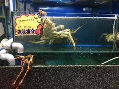 -蚝专家(北滘店)