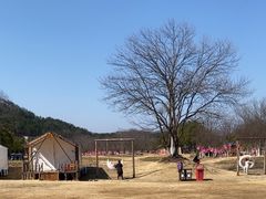-黄陂区野村谷景区