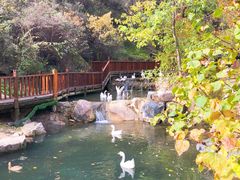 -云丘山景区