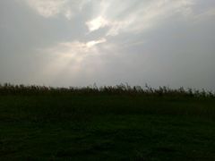 -同里国家湿地公园