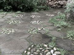 -田德能咖啡博物馆