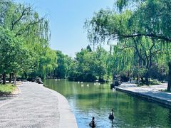 -洛阳市隋唐城遗址植物园