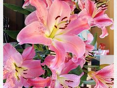 -必胜客(WOW西丽店)