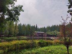 -黄海国家森林公园