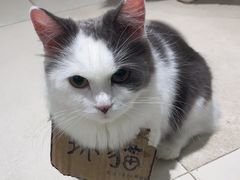 -怪兽屋·羊驼·猫咖·狗咖(俊华广场店)