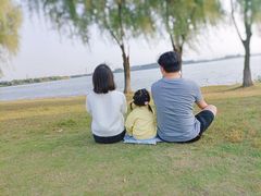 -漕湖湿地公园