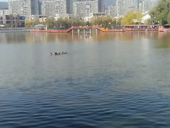 -月牙潭公园