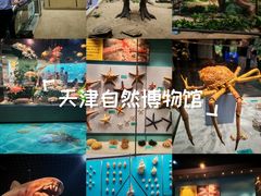 -天津自然博物馆