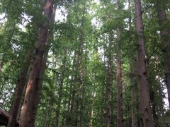 -南京金牛湖风景区