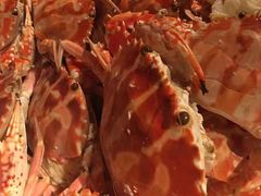 -味餐厅·海鲜·火锅·自助餐