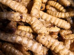 -昆虫窝子·特色云南菜(拓东路总店)