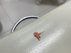 -新甲连锁灰指甲·甲沟炎·鸡眼(黑龙江路店)