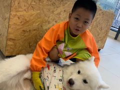 -怪兽屋·羊驼·猫咖·狗咖(俊华广场店)