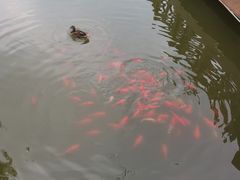 -迎泽公园