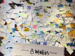 -古树酸奶(八廓南街店)