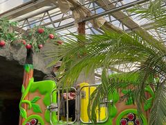 -南宫五洲植物乐园