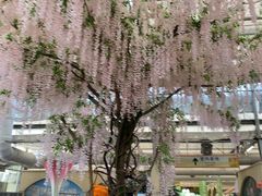 -荷兰花海