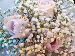 -循礼门鲜花花市(武汉循礼门店)