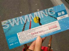 -奥体中心游泳馆