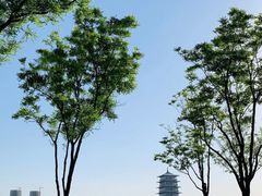-西安世博园