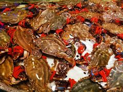 -老虎滩船说·海胆水饺·大连海鲜(老虎滩店)