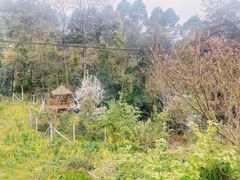 -樱桃山旅游景区