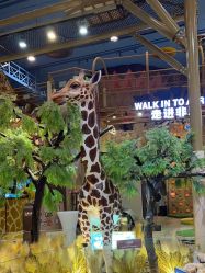 -卡通尼·Safari非洲探索乐园·生日会(金桥国际商业广场店)