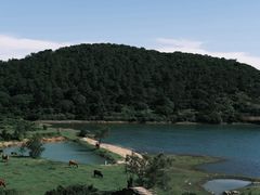 -大姆山草场