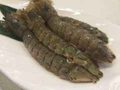 腌皮皮虾-渔娘渔家丹东海鲜(东直门店)