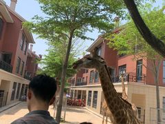 -灵玲国际马戏城