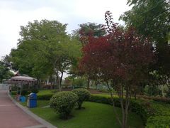 -荔湾区儿童公园