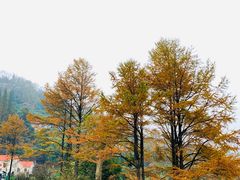-WILDS 野有食(碧坞店)