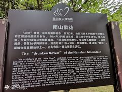 -南山植物园