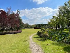 -上海大学(宝山校区)