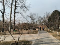 -元大都城垣遗址公园
