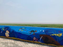 -南汇嘴观海公园