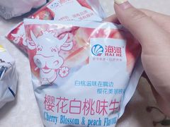 -天津海河华北乳品有限公司