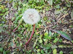 -中国建设银行哈尔滨培训中心