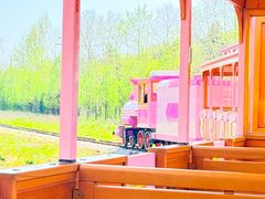 -日照海滨国家森林公园