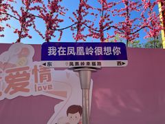 -北京凤凰岭