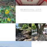 一座山一片城