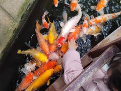 -探花·意境江南菜·唐伯虎文化体验店·松鼠桂鱼(观前店)