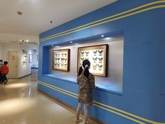 -上海昆虫博物馆